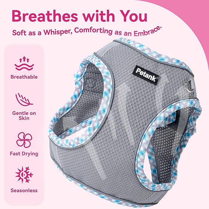 Petank Dog Harness for Small Medium Dogs No Pull, Puppy Harness and Leash Set for Walking, Running, Training, Small Dog Harness, Medium Dog Harness (Grey, S)