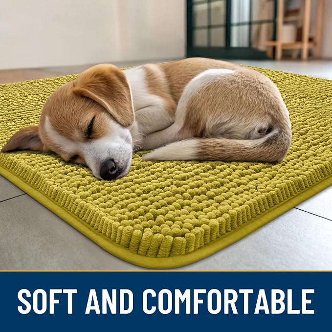 Smiry Dog Door Mat for Muddy Paws 36x24, Absorbent Dirt Trapper, Non-Slip