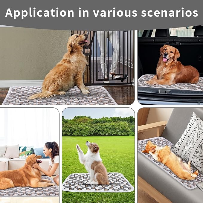 Dog Crate Mats, Soft Reversible Dog Bed Mat, Cat Mat - 24x16 Inch, Short Plush Pet Mat Crate Mat for Small Dogs, 0.6-inch Thick Thin Dog Mat, Machine Washable Ideal for 24-Inch Dog Crates