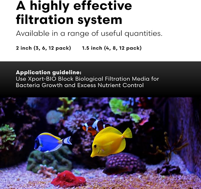 Brightwell Aquatics