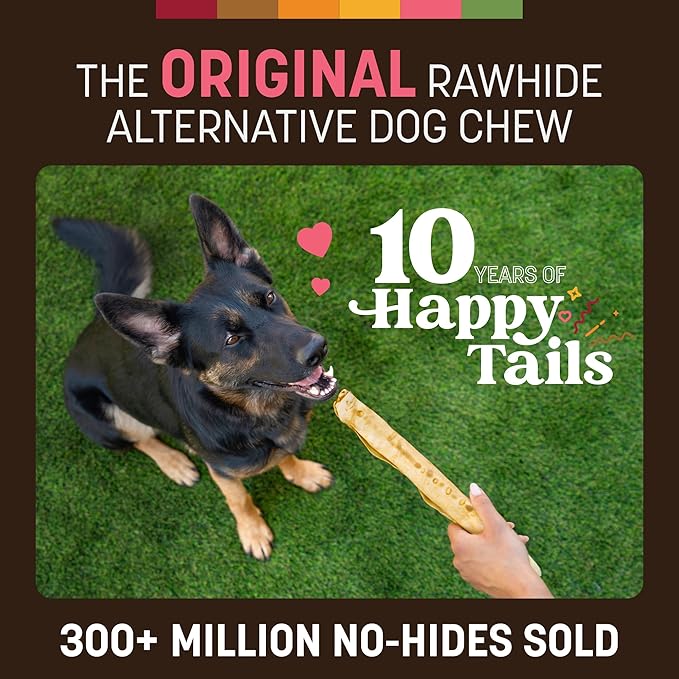 Earth Animal No Hide Chews - Long Lasting Rawhide Free Large Dog Chews Rolls, Salmon - 2 Count