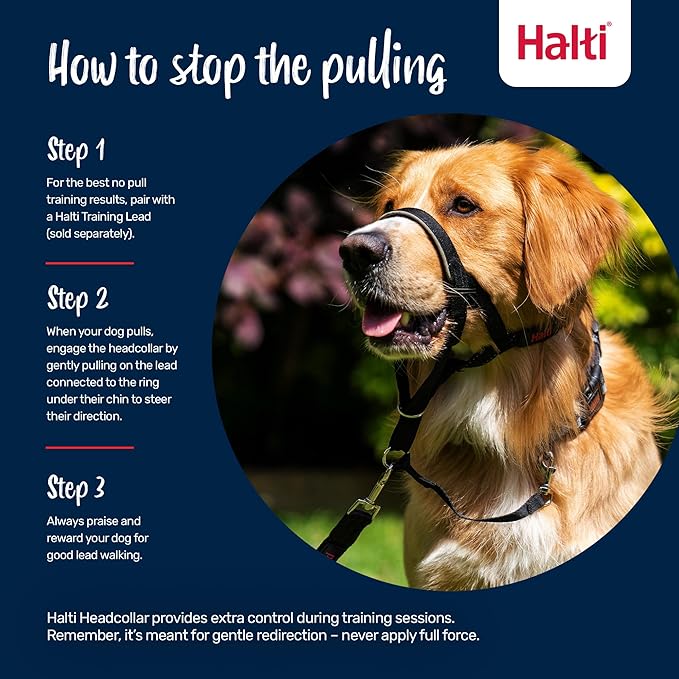Halti Headcollar - Stop Your Dog Pulling on The Leash. Adjustable, Reflective and Lightweight, with Padded Nose Band. Dog Training Anti-Pull Collar for Small Dogs (Size 1, Forest Green)