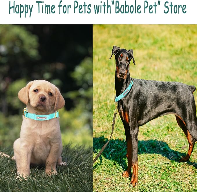 Nylon Dog Collar - Adjustable Lake Blue Soft Webbing Dog Collars for Small Medium Large Dogs Boy Girl Puppy Collar with Safety Metal Buckle XS