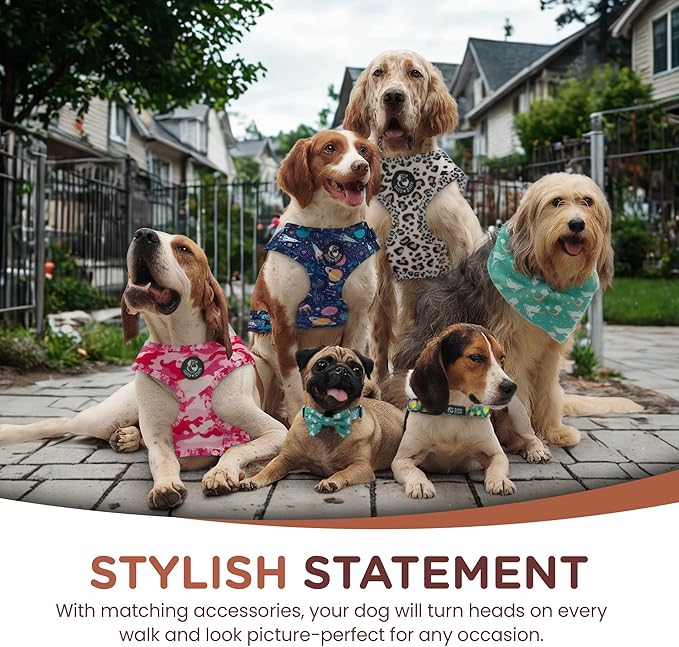 No Pull Harness and Leash Set - 6-in-1 Adjustable Vest Harness and Collars for Medium and Large Dogs. (Leopard, Medium)