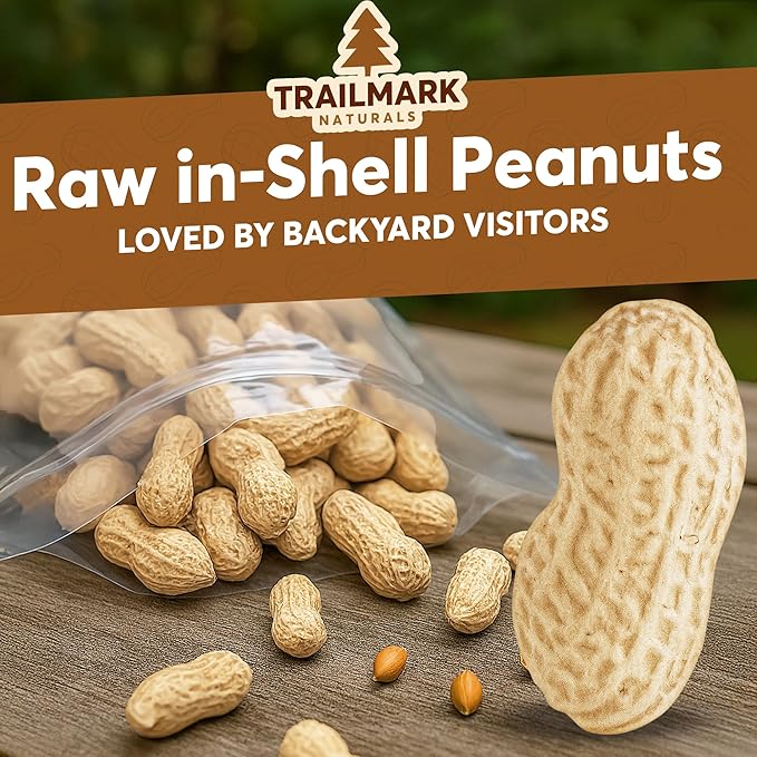 3 LB - Raw Peanuts For Squirrels, Raw In Shell Peanuts For Birds and Wildlife- Squirrel Food, Wild Bird Seed - Grown in The USA