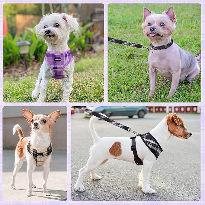 SCENEREAL No Pull Dog Harness Collar and Leash Set for Small Sized Dogs, Soft Mesh Plaid Harnesses for Fall Winter, Adjustable Pet Vest for Outdoor Walking Training and Running