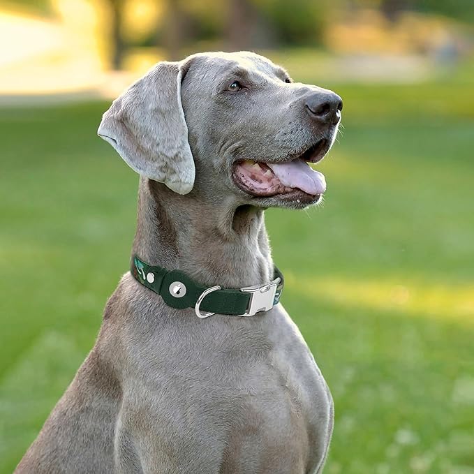 AirTag Dog Collar for Small Medium Large Breed - Adjustable Cute Pattern Dog Collar with Airtag Holder - Soft Leather Tracker GPS Apple Air Tag Pet Collars (X-Large, 20"-25" Neck Fit, Mushroom)