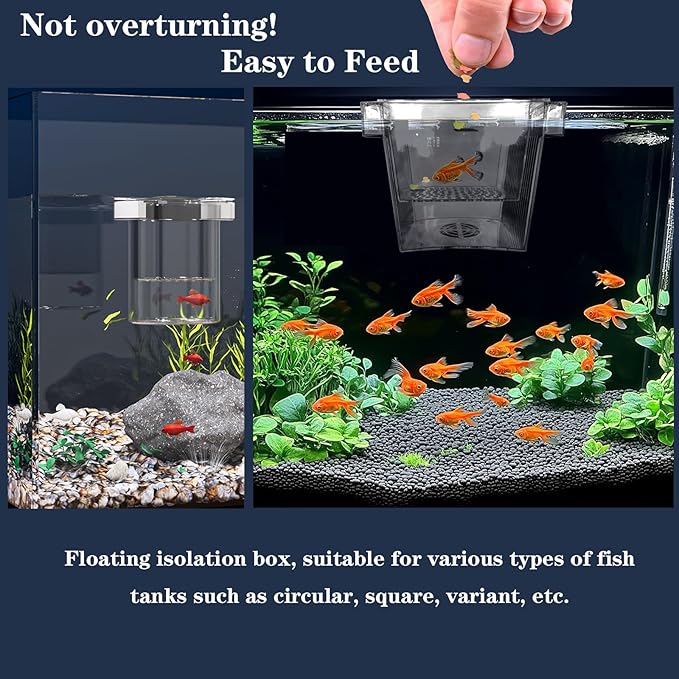 WEAVERBIRD Aquarium Breeder Box, Fish Breeding Box, Acrylic Breeder Isolation Divider Hatching Boxes, Floating Incubation Box, Round Isolation Hatchery Feeding Boxes for Small Fish Fry Hatchery