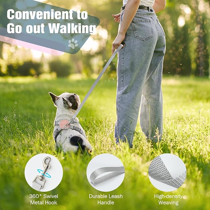 Pawaboo Small Dog Harness and Leash Set, Puppy Harness X-Frame No Pull No Choke, Dog Vest Harness Adjustable for Small Medium Sized Dogs,Soft Breathable Pet Harness for Walking Outing, L, Pink Daisy