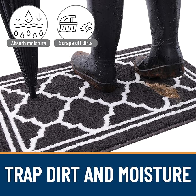Buganda Large Indoor Door Mat, Dirt-Resistant and Absorbent Doormat, Low