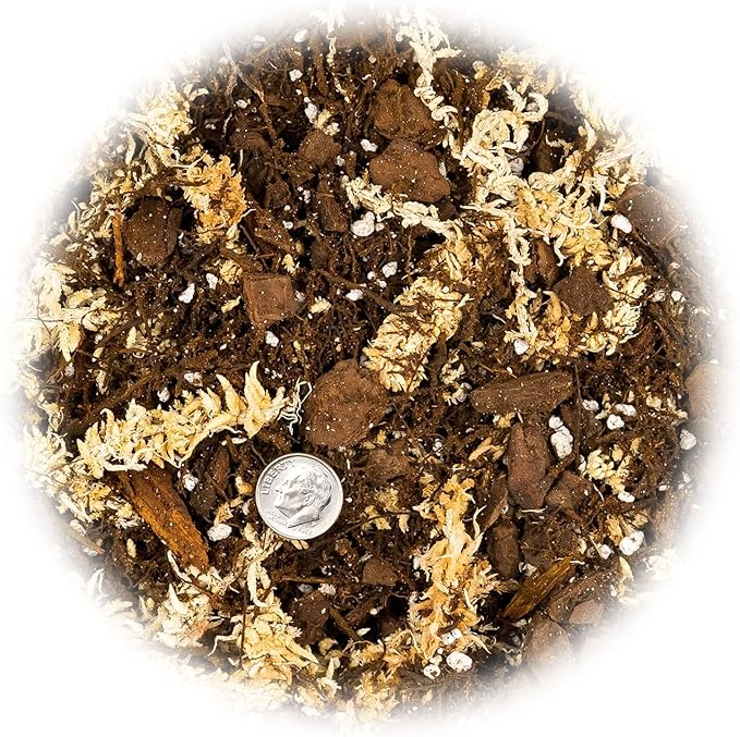 Gardenera Premium Orchid Mix by GARDENERA | Fern + New Zealand Pine Bark + Sphagnum Moss + Perlite | Best for Growing and Repotting Orchids - 5 Quart Bag