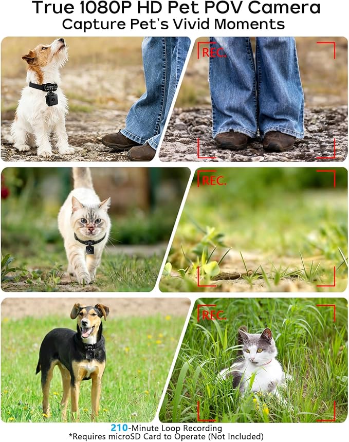 AEZ Pet Camera Collar with APP Control, 1080P HD Pet POV Camera, 210-mins Recording Wearable Action Camera with Hotspot WiFi, Magnetic Clip Camera for Cats Dogs Kids & Outdoor Use (No SD Card)