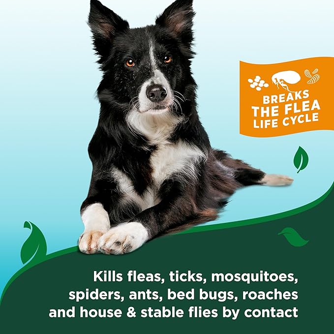 Vet's Best Natural Flea & Tick Home Spray for Dogs – Cotton Spice Scented Indoor Pest Control Spray – Natural Flea & Tick Protection with Certified Plant-Based Ingredients – Made in USA – 96 oz Refill