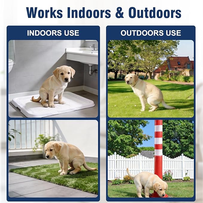 Potty Training Spray for Dogs, Go Here Dog Potty Training Spray & Dog Pee Spray, Puppy Potty Training Aid for Housebreaking, Natural Indoor & Outdoor Use, 5.07 Fl OZ