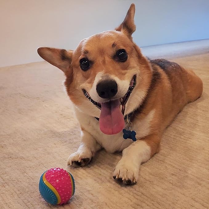 SPOT Sensory Ball for Soft Chewers - Stimulates All 5 Senses, Bell & Squeaker Sounds, Raised Nubs Clean Teeth, High Contrast Fetch Toy, Beef Scented, Durable TPR Rubber Ball, 2.5-inch
