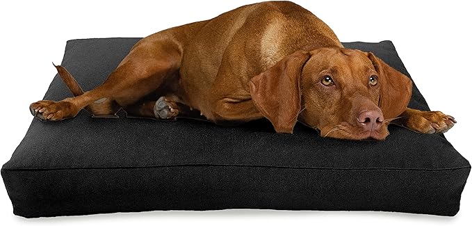 Medium - 36 x 24 x 5 - Black Premium Org Hemp Dog Bed - Organic Latex Fill - Removeable Cover