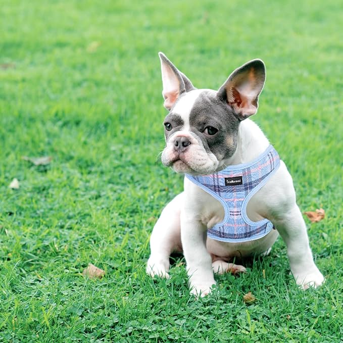 SCENEREAL Puppy Dog Harness with Leash Set for Small Medium Sized Dogs, Soft Mesh Pet Harnesses and Leash, No Chock Plaid Adjustable No Pull Vest for Dogs Cats, Chihuahua,Bulldog (Blue S)