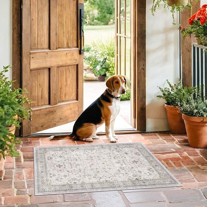 Washable 2x3 Throw Rugs for Entryway, Front Door Mat, Low Pile Non-Slip Small