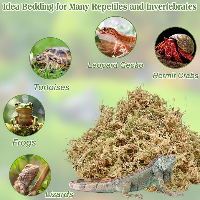 Halatool 6OZ Natural Sphagnum Moss Substrate for Reptiles - Terrarium Bedding with 72H Moisture Retention, Safe for Bearded Dragons, Geckos & Snake Shedding