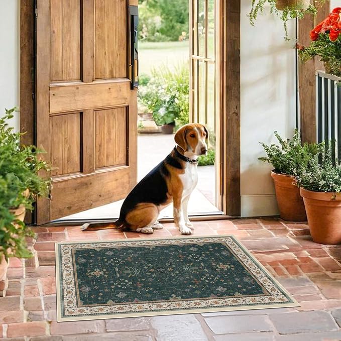 Dark Green 2x3 Door Mat Indoor Entrance Rug