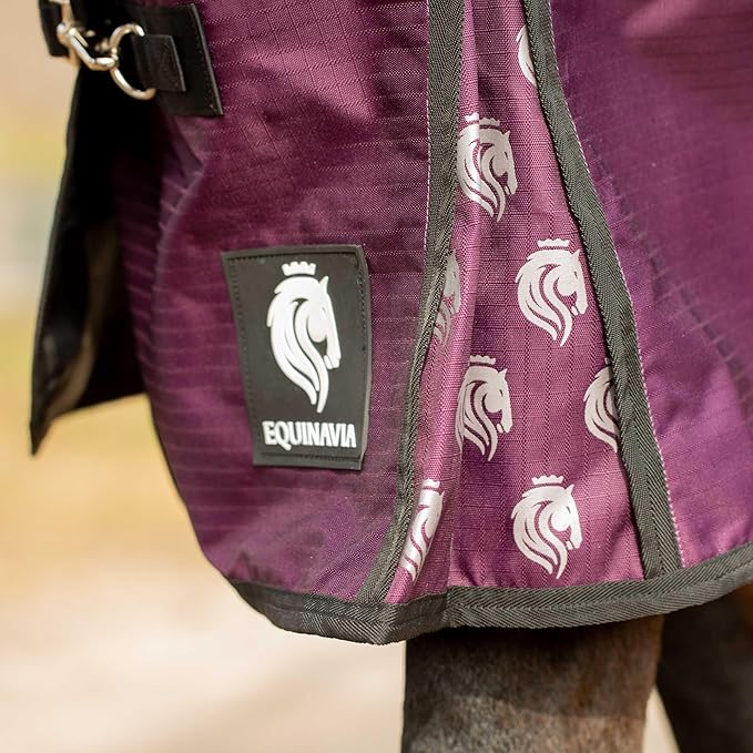 Equinavia Norse Lightweight 100g Fill Horse Rain Blanket | Waterproof Turnout Sheet - Black - 66 in - Plum Wine/Orchid Haze - 66 in