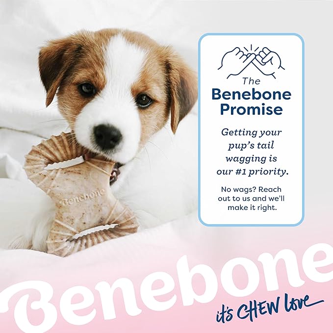 Benebone Puppy 2-Pack Dental Chew/Wishbone Real Bacon Small