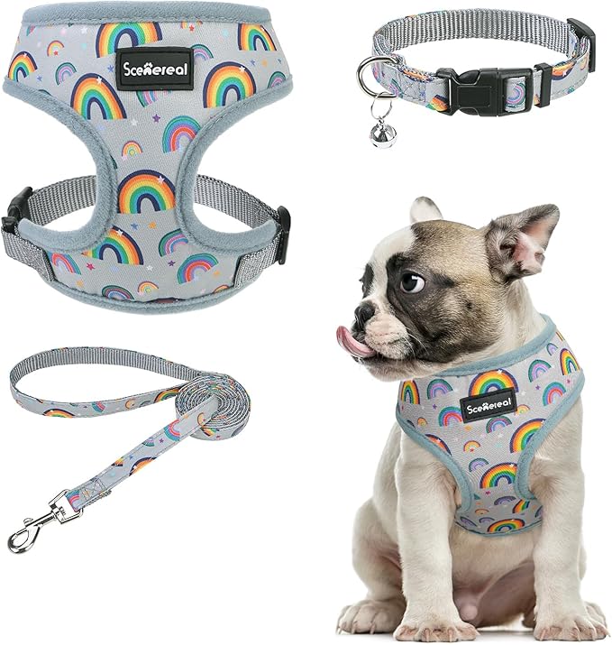 SCENEREAL Small Dog Harness Collar and Leash Set, Adjustable No Pull Pet Harnesses, No Chock Soft Mesh Vest for Doggie Puppy Medium Dogs Cats Girl or Boy,Chihuahua, Yorkie, Outdoor Walking