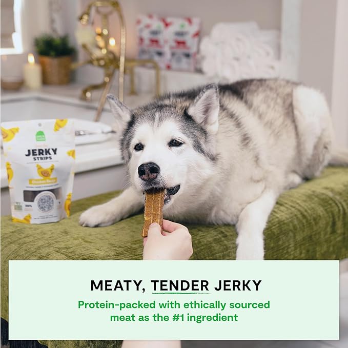 Open Farm, Dog Jerky Treats, Soft & Chewy Oven-Baked Jerky Strips Made with Ethically & Sustainably Sourced Ingredients, Protein Packed Dog Treats, Grain-Free Chicken Recipe, 5.6oz Pouch