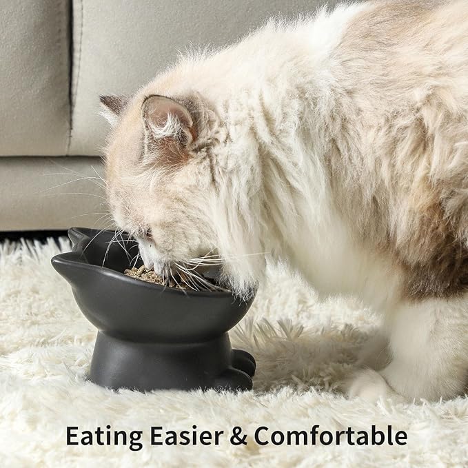 Nihow Slanted Elevated Cat Bowls: 5 Inch Ceramic Raised Cat Food Bowl for Protecting Pet's Spine - Microwave & Dishwasher Safe -Matte Black (4.5 OZ /1 PC)