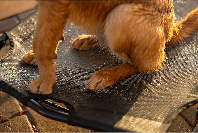 Momarsh Elevated Dog Cot with Washable Soft Pad & Folding Frame for Travel & Home Use | All in One Home Cot with Non Slip Feet | Large Portable Dog Bed | Perfect Padded Pet Bed System for Dogs
