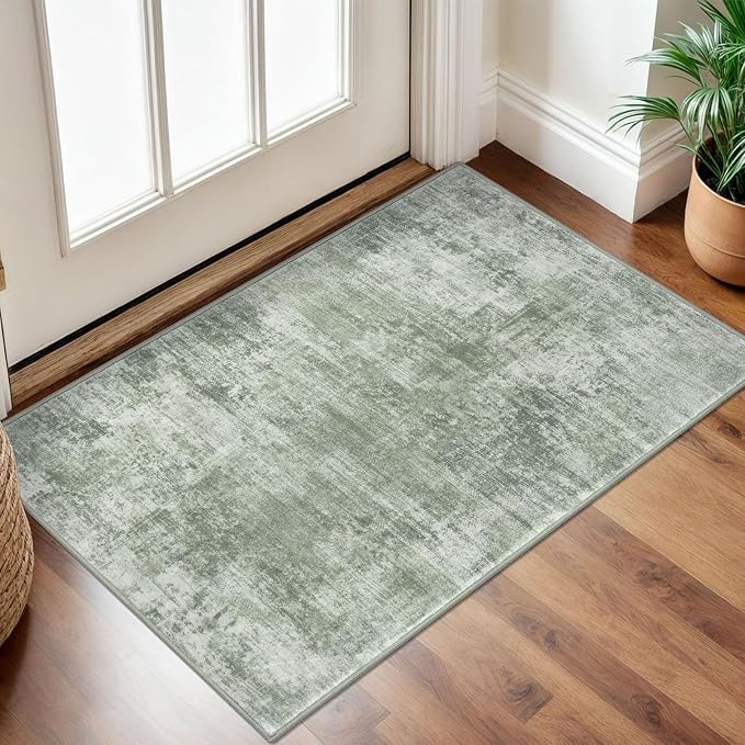 IOHOUZE Small Abstract Area Rug 2x3 Ft Entryway Rugs Washable Door Mat Indoor