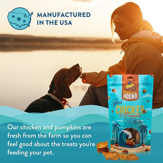 Chicken & Pumpkin Chips – 2 Simple Ingredient Dog Treats, All Natural & Healthy Training Snacks for Small, Medium & Large Breeds, Puppies – High Protein, 7oz