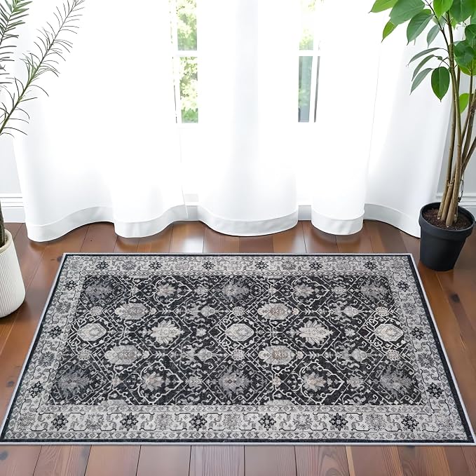 Washable 2x3 Entryway Area Rug: Vintage Soft Thin Door Mat