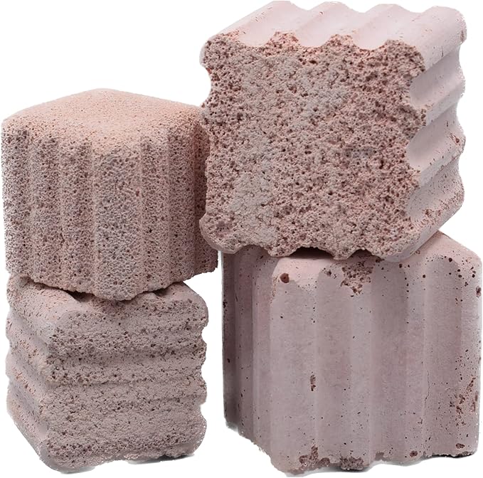 Brightwell Aquatics Xport-BIO Block