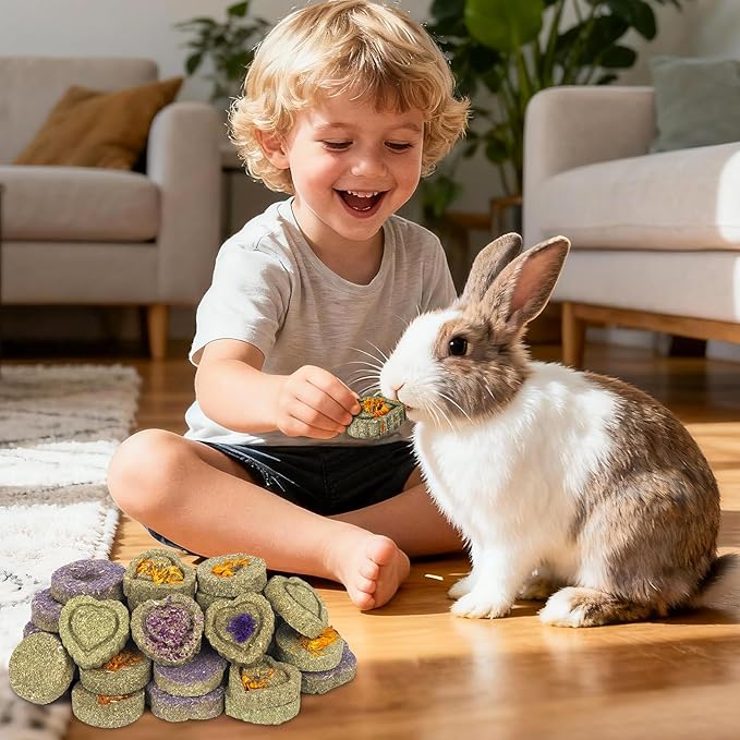 BESENL 36PCS Guinea Pig Hay Food Natural Rabbit Chew Toys for Teeth，Hamster Toys, Bunny Chew Toys Timothy Hay Treats for Rabbits Chinchillas Rats, Small Animals Teeth Grinding