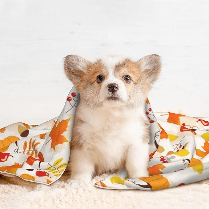 Fall Blanket for Dog Cat - Pumpkin Mushroom Throw Blanket 40x30 Halloween Autumn Pet Blanket for Couch Sofa Bed