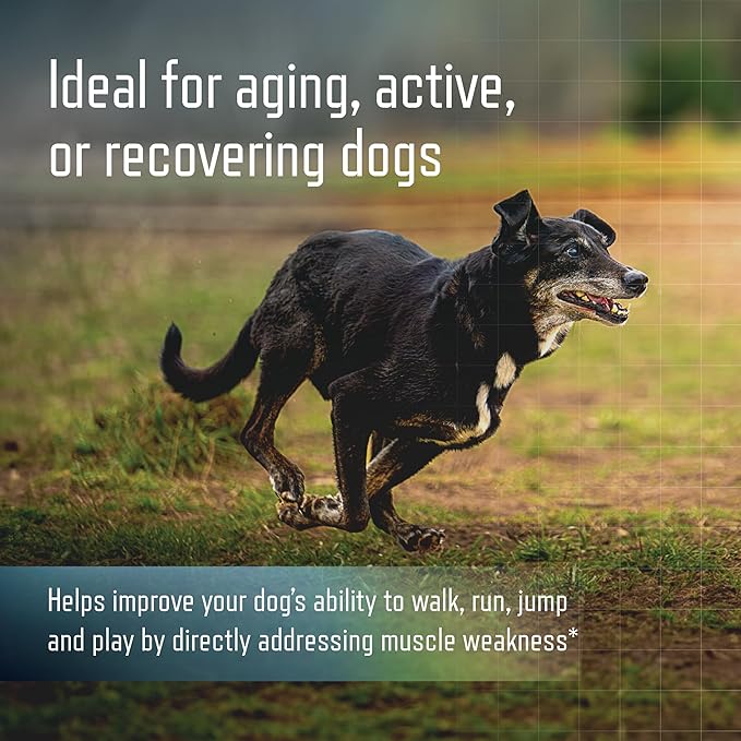 Virbac URSOLYX Soft Chews for Dogs | Muscle Health Support for Senior, Active or Recovering Dogs, Medium | 60 Count 2- Month Supply