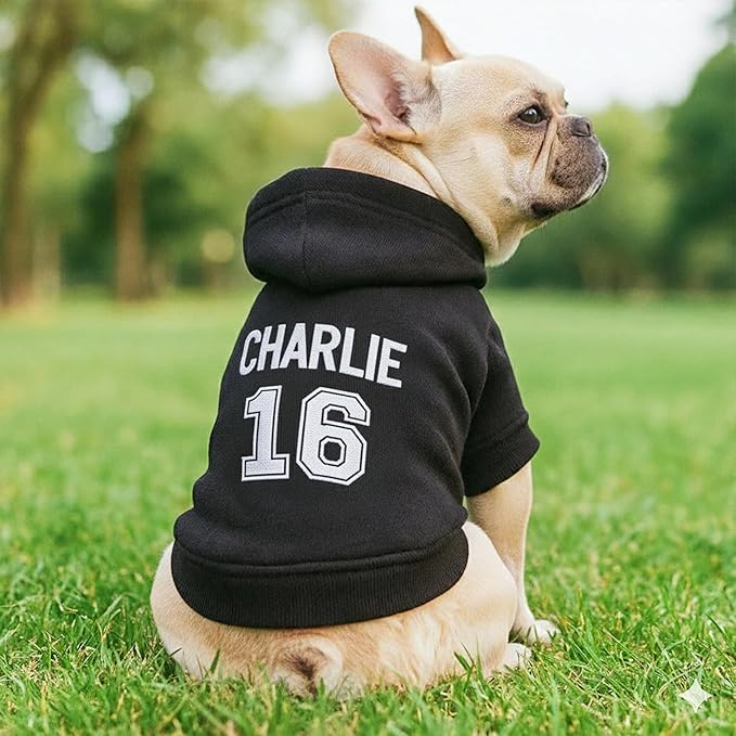 Personalized Name Dog Hoodie, Embroidered Puppy Sweater with Name/Text, Custom Pet Clothes Warm Winter Outfit for Dogs, Bright Puppy Sweatshirt, Pet Birthday Outfit, Gift for Dog Lovers