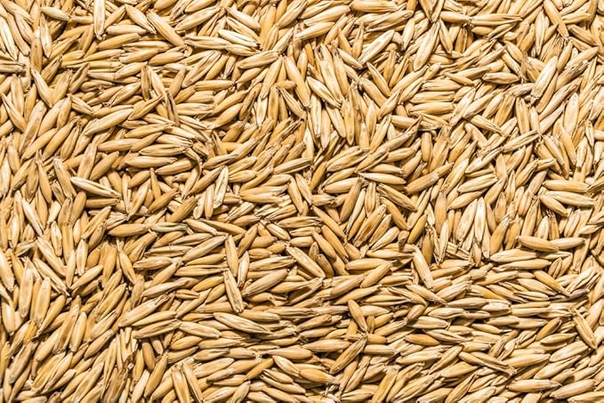 Thunder Acres Non GMO, Certified Organic, Oat Seed (5 lb.)