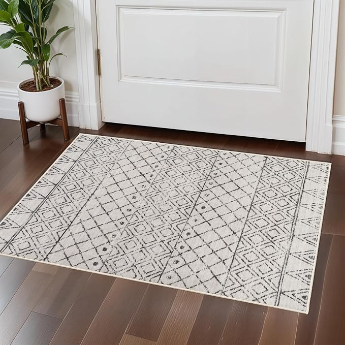 2x3 Entryway Rug Washable