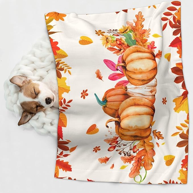 Pumpkins Blanket for Dog Cat - Orange Fall Throw Blanket 23x16 Autumn Pet Blanket for Couch Sofa Bed