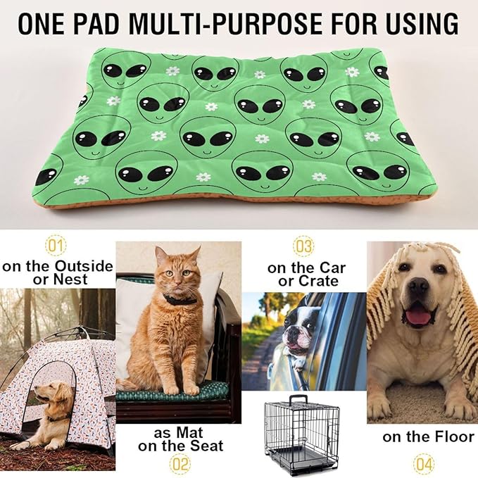 Pet Bed Green Alien Cartoons Daisy Flower Dog Bed Mat Absorbing Non Slip Pad Pet Sleeping Mat for Small, Medium, and Large Dogs Puppy Cat 36 in x 24 in