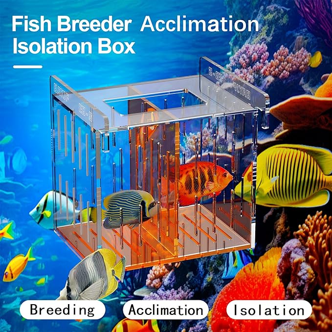 Fish Breeder Isolation Box for Aquarium Tank,Transparent Orange Acrylic Fish Acclimation Box for Clownfish Guppy Betta Coral (S)