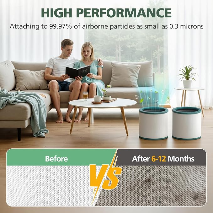 TP01 HEPA Replacement Filter Compatible