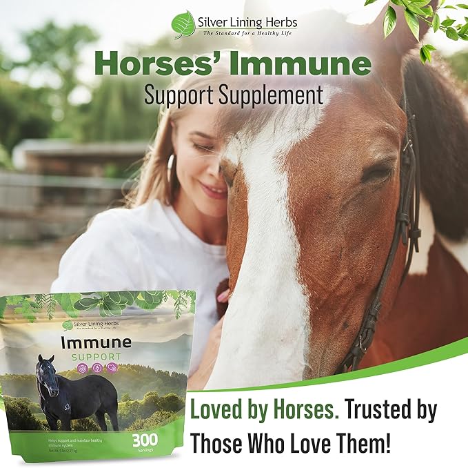Silver Lining Herbs Immune Support for Horses – Natural Horse Supplements for Immune System, Stamina & Detox – Herbal Horse Health Formula – 5 lb (300 Servings)