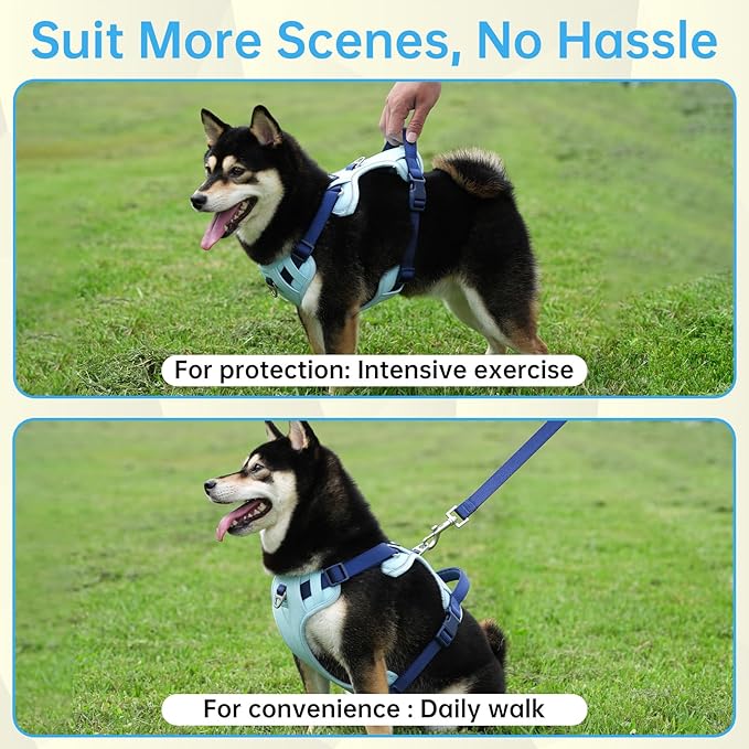 3 in 1 No Pull Dog Harness Leash and Collar Set, Soft Adjustable Dogs Vest Reflective and Comfortable Handle Blue Small