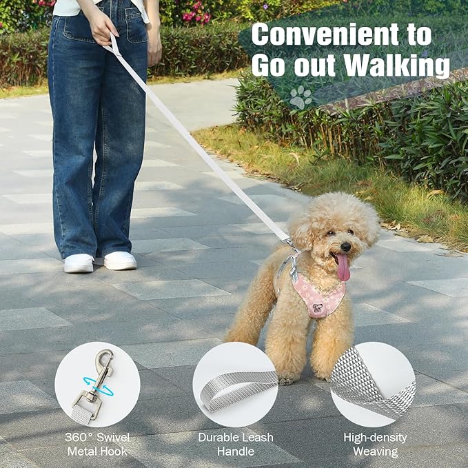 Pawaboo Small Dog Harness and Leash Set, Puppy Harness X-Frame No Pull No Choke, Dog Vest Harness Adjustable for Small Medium Sized Dogs,Soft Breathable Pet Harness for Walking Outing, S, Pink Daisy
