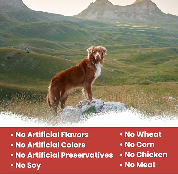 Chew + Heal Labs Dog Salmon Jerky Treats with Cognitive Support - 12 oz of Wild Caught Salmon Jerky Dog Treat - Made with Gingko Biloba, Blueberries, Cranberries, Pumpkin, and More - Made in The USA