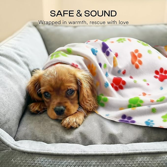 LINENLUX Cute Dog Blanket for Small Medium Dogs 6-Pack Soft Stretchy Fleece Blankets for Pet Cat Puppy Warm Wrinkle-Resistant Throw for Couch Bed Outdoor Mix 31x24 inch (Pack of 6)