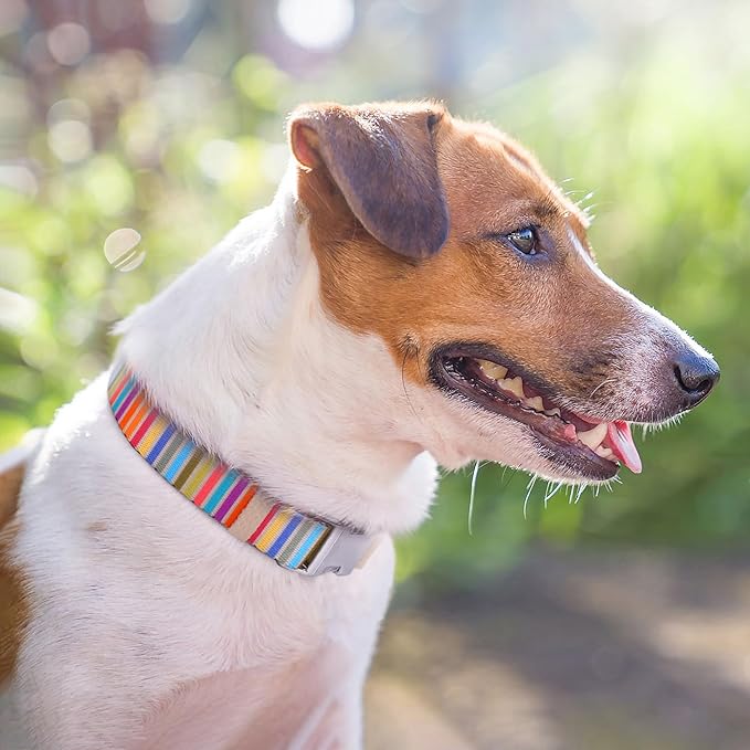 AirTag Dog Collar for Small Medium Large Breed - Adjustable Cute Pattern Dog Collar with Airtag Holder - Soft Leather Tracker GPS Apple Air Tag Pet Collars (Small, 12"-15" Neck Fit, Serape)